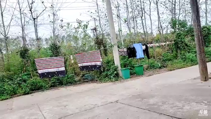 【2021-10-18 11点场】洪湖小肖：出发  回基地  447507