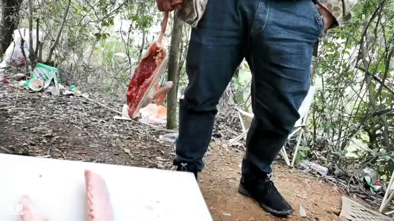 【2021-10-18 13点场】魅力生活i：铁锅炖大鹅 468241