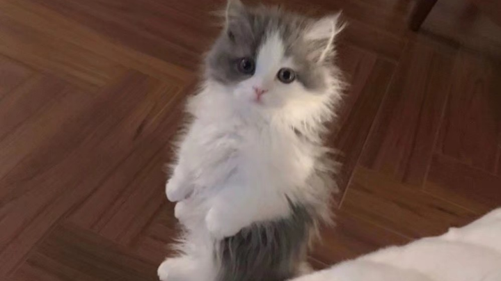 日常刷图刷起来