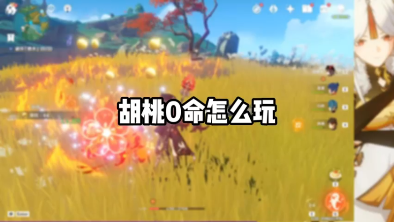 【原神】胡桃0命玩法