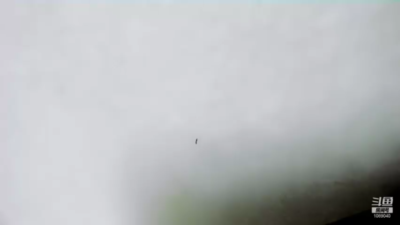 【2021-10-18 21点场】ow小青蛙：今天MVP几连跪？