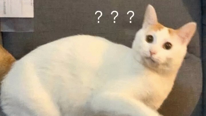 啥意思