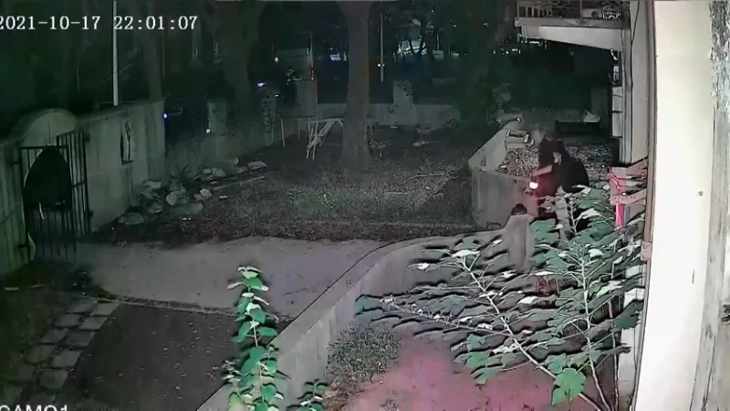 电子竞技不需要听力，和视力……