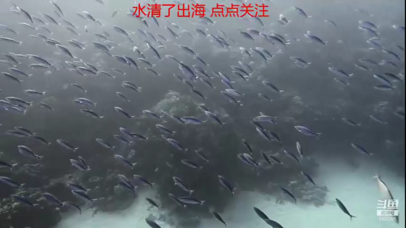 【2021-10-19 07点场】海道丶：欢迎来到 5408206 直播间