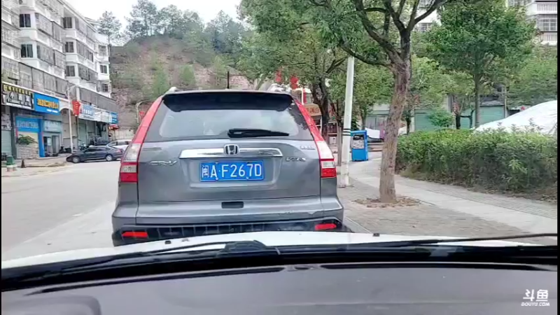 【2021-10-19 12点场】主播阿郎：荒野独居30天