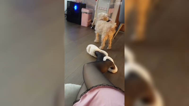 这样看比赛可真不戳