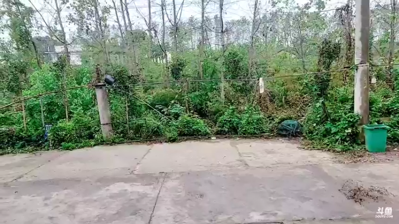 【2021-10-19 11点场】洪湖小肖：给萌七投投票