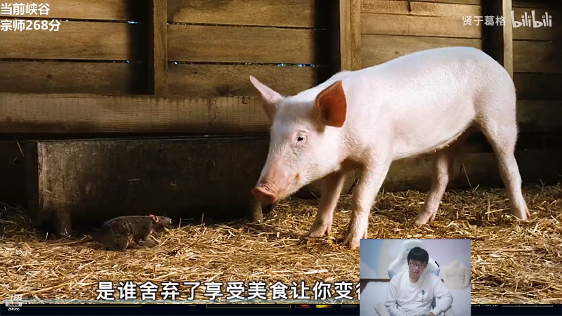 【英雄联盟】萌面酥的精彩时刻 20211019 18点场