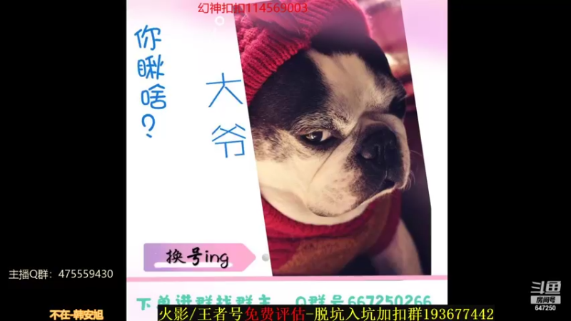 【2021-10-18 22点场】小马锅马杰：马锅：幻神直通车马上安排。