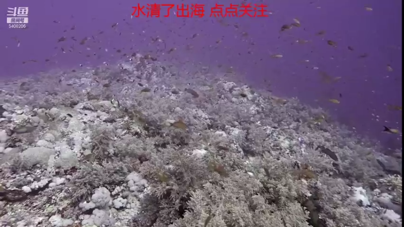 【2021-10-19 11点场】海道丶：欢迎来到 5408206 直播间