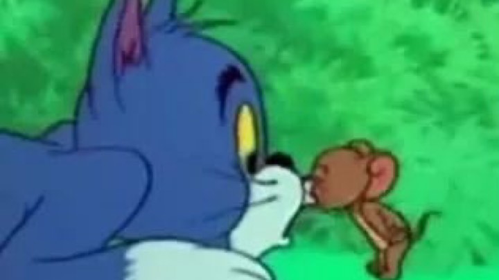 女战神坑老板的一天