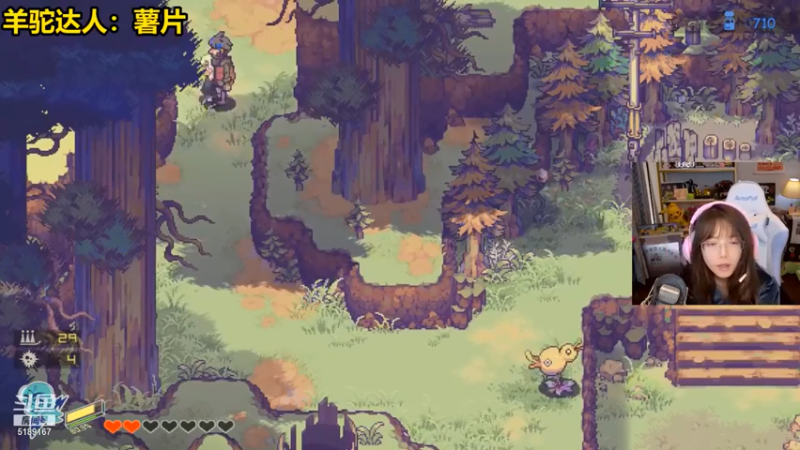 骆歆冲冲冲：新手开荒，体验剧情