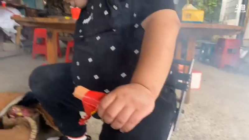 【2021-10-20 10点场】魅力生活i：美好的一天开始啦 468241