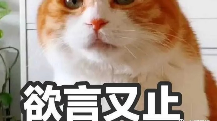 游戏日常