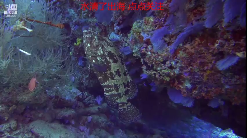 【2021-10-20 06点场】海道丶：欢迎来到 5408206 直播间