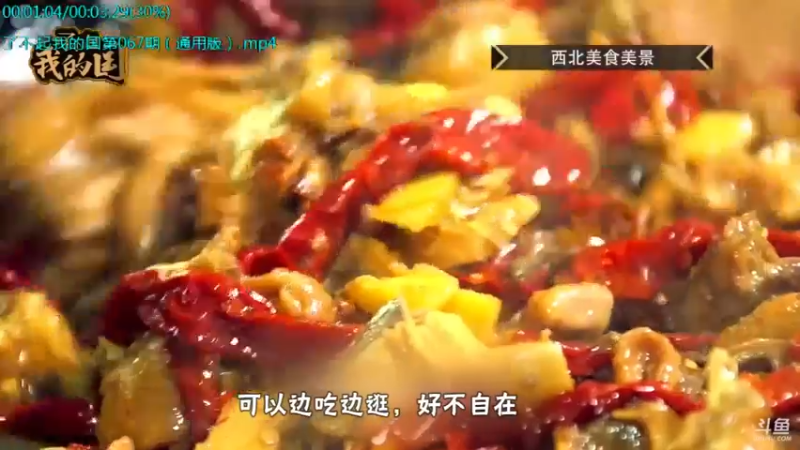 【2021-10-20 15点场】了不起我的国：中医真的是没用么？