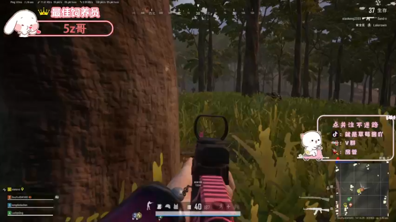 【2021-10-19 23点场】就是草莓酱吖：平平无奇小草莓~