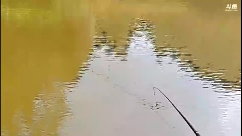 【2021-10-20 14点场】主播阿郎：荒野独居30天