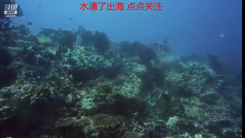 【2021-10-19 22点场】海道丶：欢迎来到 5408206 直播间