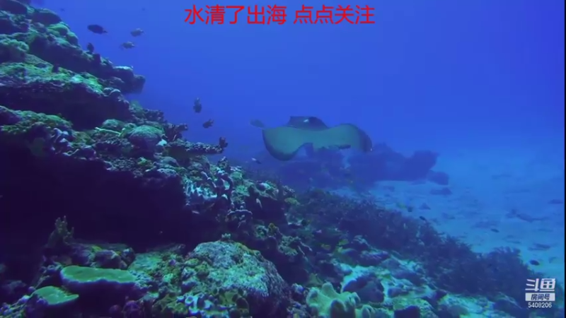 【2021-10-20 02点场】海道丶：欢迎来到 5408206 直播间