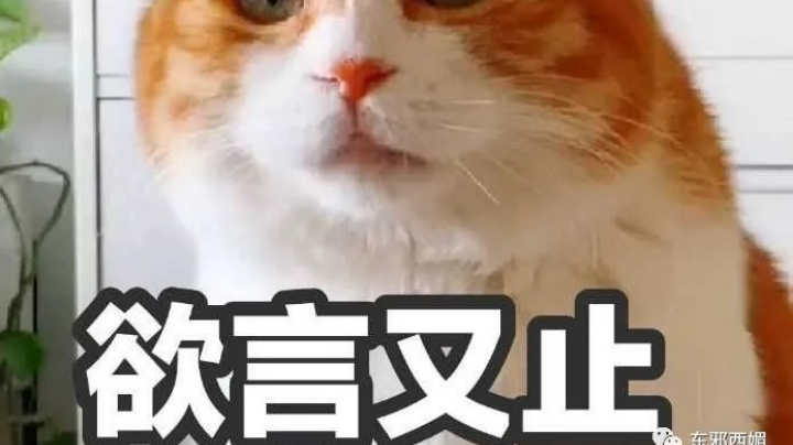 游戏日常