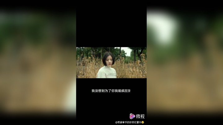 初听不知曲中意，再听已是曲中人。初看不知剧中意，再看已是剧中人