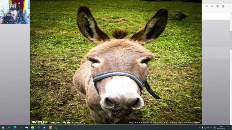 【2021-10-19 02点场】直播间最发抛的欣欣：赫本： 准爸爸的辛勤劳动 Day9