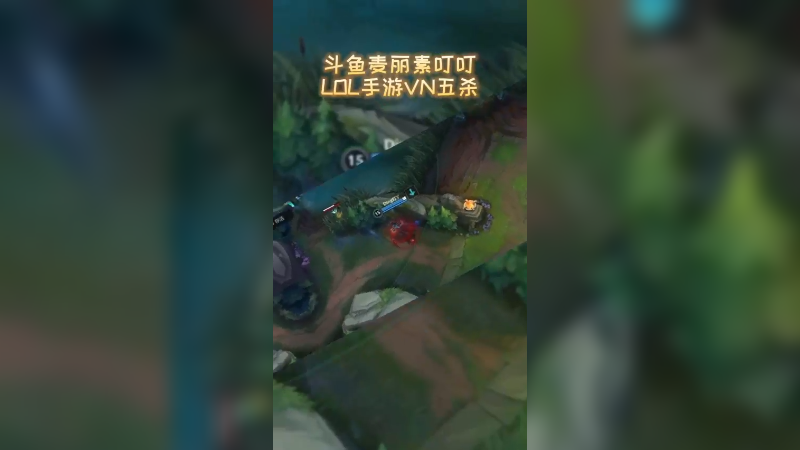 LOL手游VN五杀，太帅了吧～