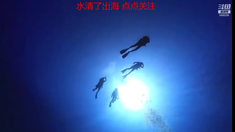 【2021-10-21 00点场】海道丶：欢迎来到 5408206 直播间