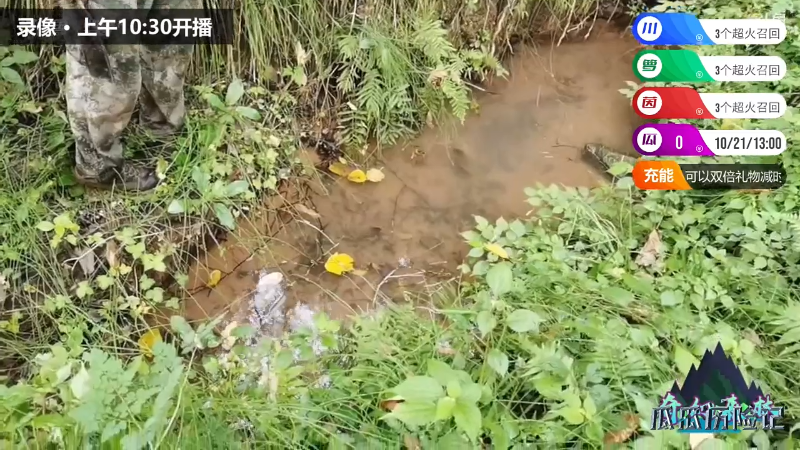 【户外】川味箩卜的精彩时刻 20211021 10点场