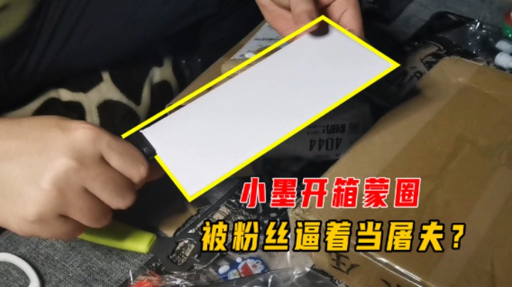 奇怪的开箱5：小墨开箱蒙圈，粉粉送来一把菜刀逼我转行当屠夫？