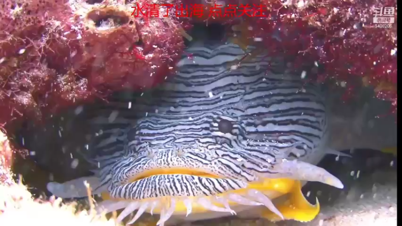 【2021-10-21 03点场】海道丶：欢迎来到 5408206 直播间