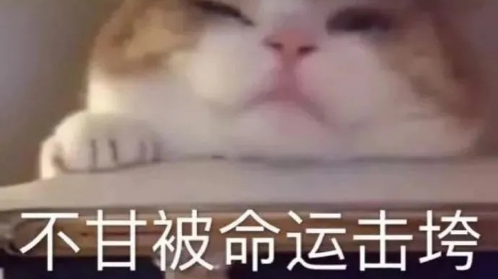 游戏日常