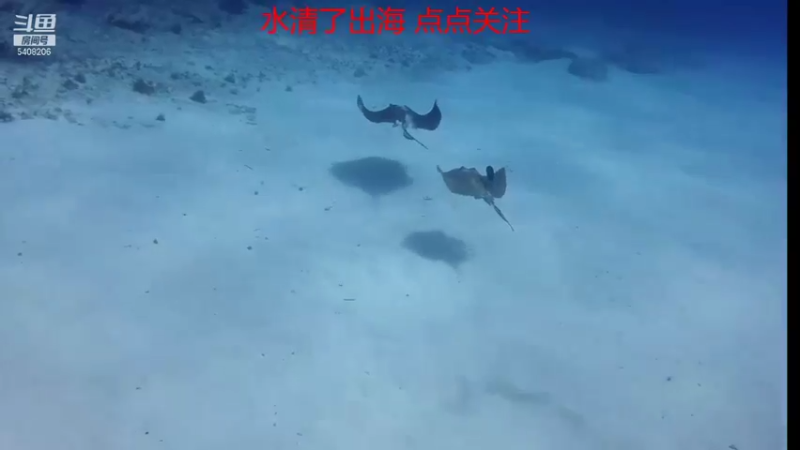 【2021-10-21 05点场】海道丶：欢迎来到 5408206 直播间