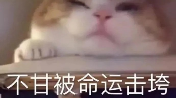 游戏日常