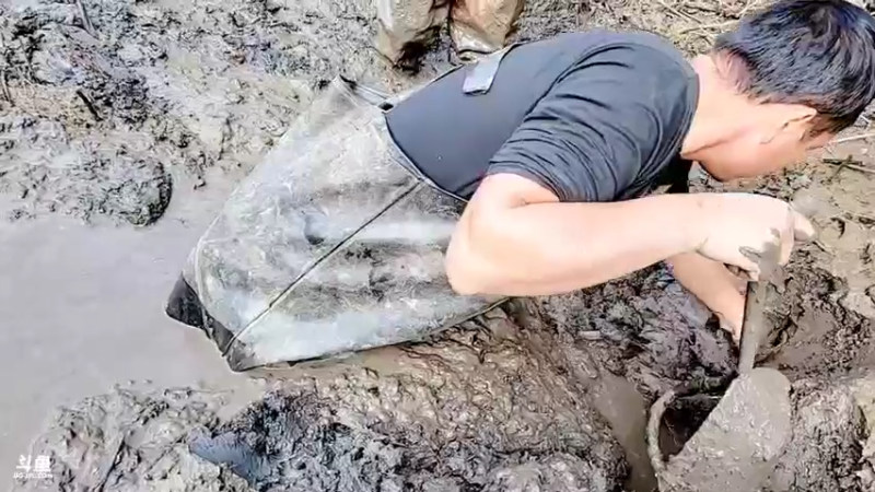 【2021-10-21 15点场】洪湖小肖：加油加油加油加油！ 447507