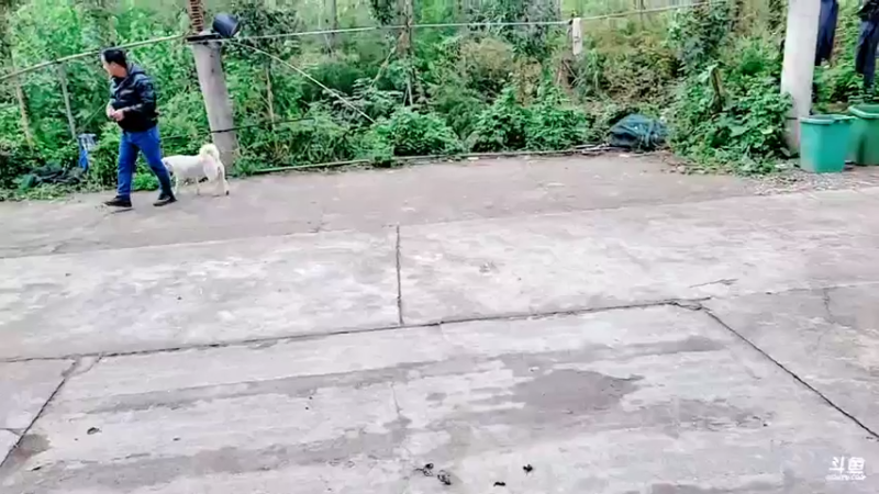 【2021-10-21 11点场】洪湖小肖：加油加油加油加油！ 447507