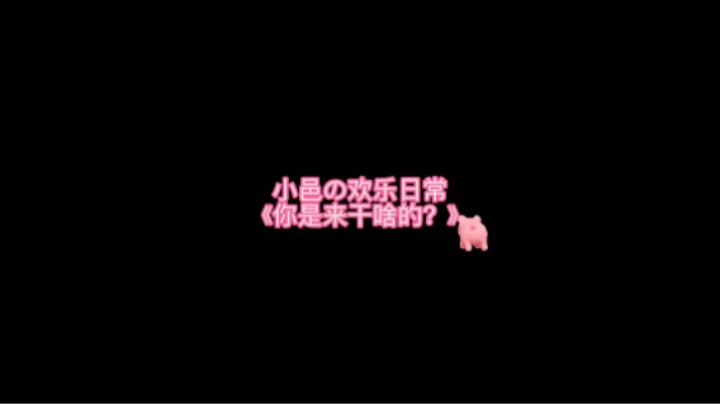 你是来干啥的？？？
