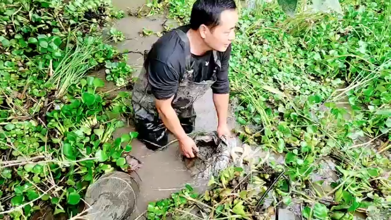 【2021-10-21 13点场】洪湖小肖：加油加油加油加油！ 447507