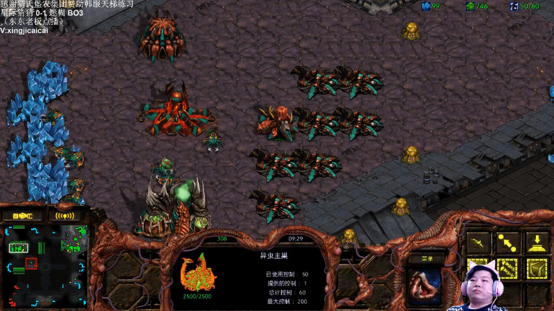 【星际争霸】星际猜猜的精彩时刻 20211021 00点场