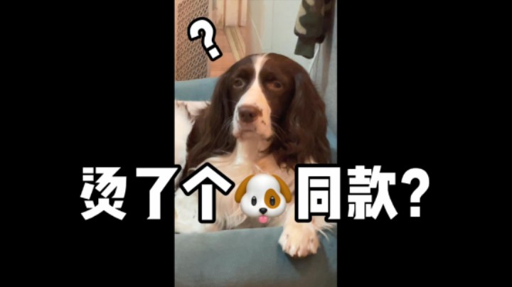 xdm大无语事件！我兴致冲冲去烫头 结果...