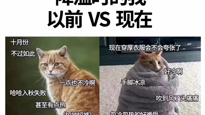 掉分日记