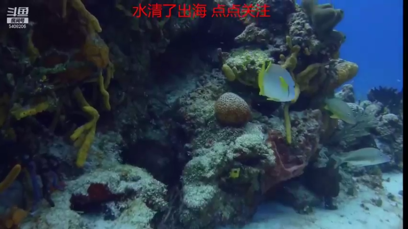 【2021-10-21 01点场】海道丶：欢迎来到 5408206 直播间