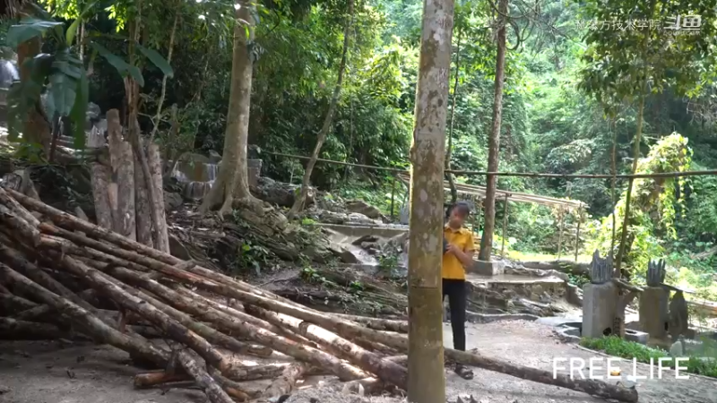 小姐姐隐居W38制作蔬菜种植架12#妹子独自深入荒野隐居，建设世外桃源第一季