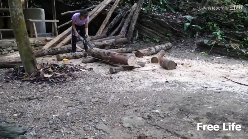 小姐姐隐居W37房子地基下7#妹子独自深入荒野隐居，建设世外桃源第一季
