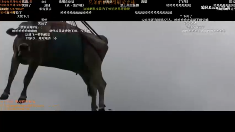 【2021-10-21 16点场】地球胖丶驴酱：打会峡谷之巅 宗师局