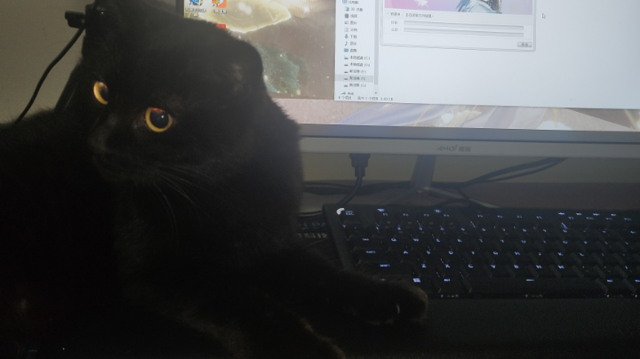 顶级长枪这种话我已经说倦了