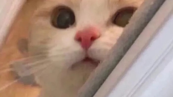 正常