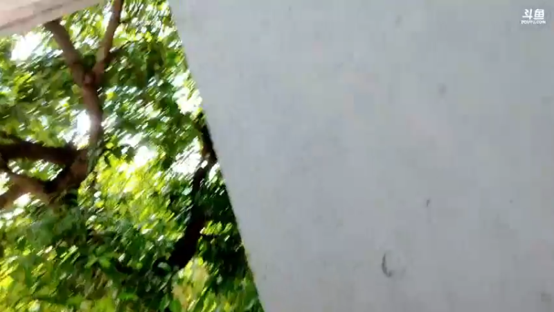 【2021-10-22 10点场】海道丶：发鱼了 发鱼啦！