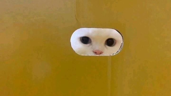 录个素材